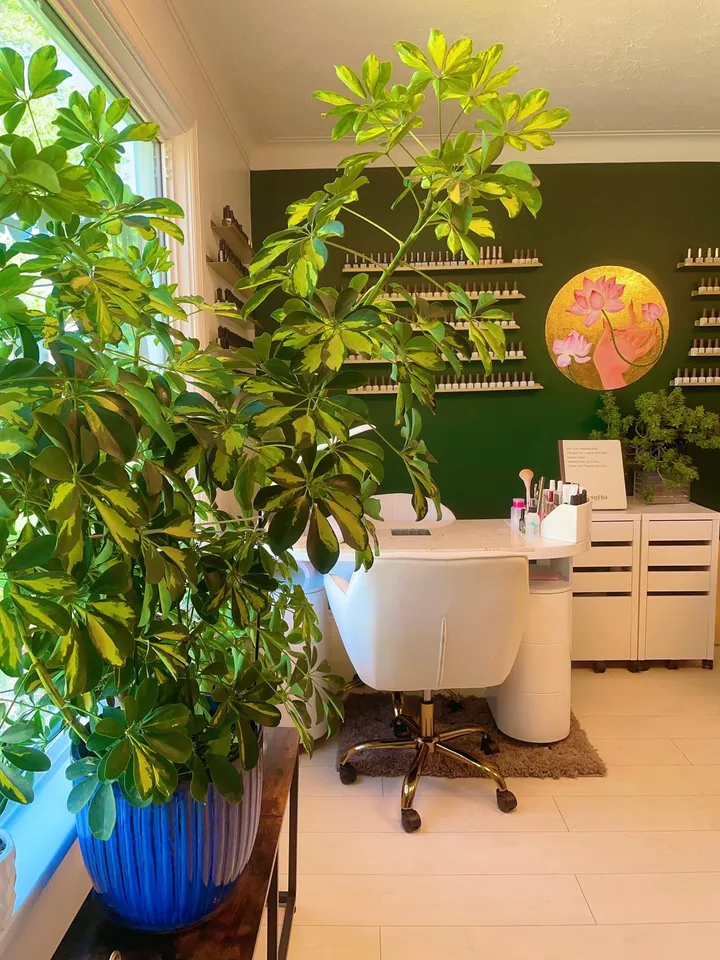 A nail desk with a white chair, a large plant and the lotus painting on the green wall