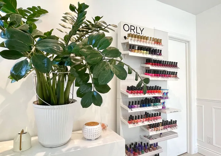 A wall of ORLY nail polish beside a large green plant in a white pot